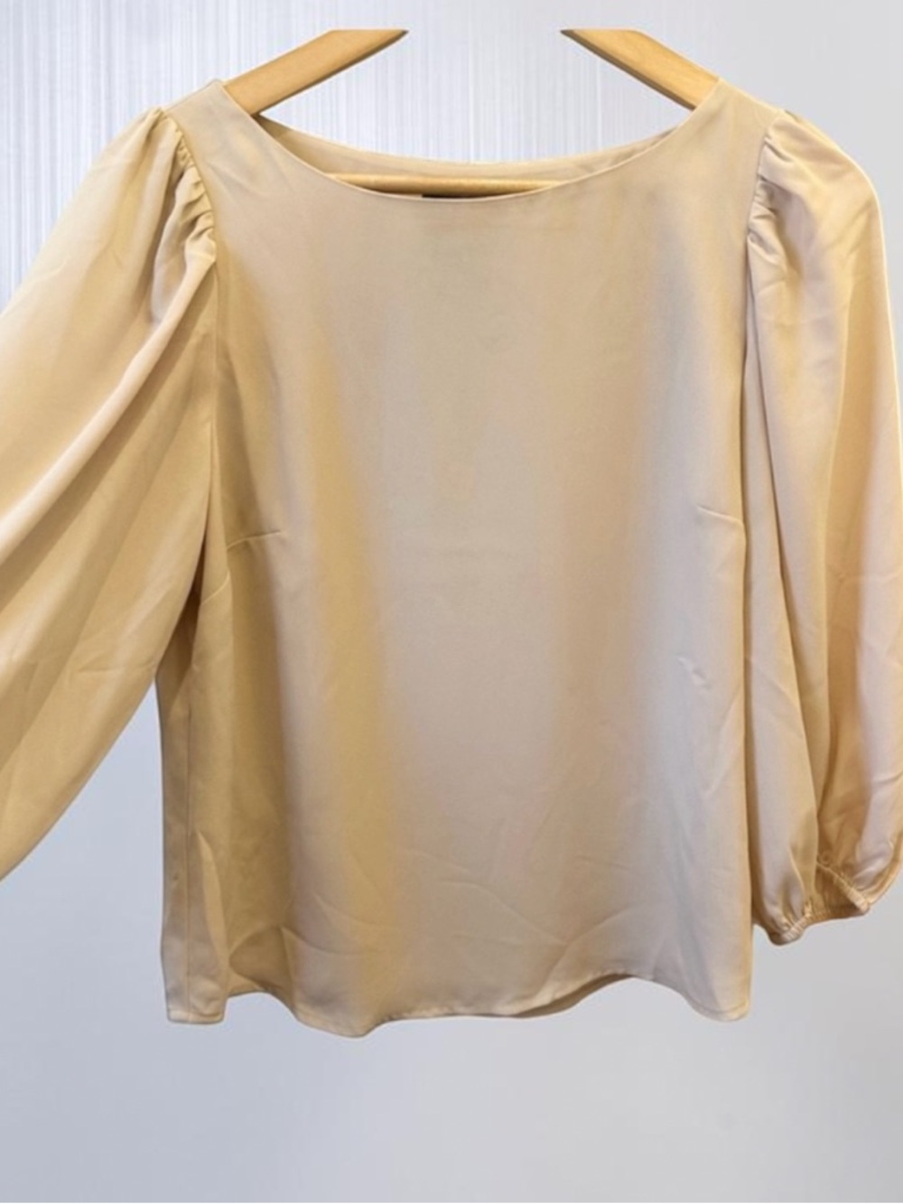 New Alex Marie Balloon Sleeve Blush Lined Blouse S